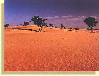 South Western red sand dunes